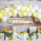 Kate Cake smash Citrons Toile de fond conçu par Megan Leigh - Kate Backdrop FR