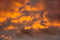 Kate Paysage Nuages Toile de Fond Sunset Glow Conçu par Kate Image - Kate Backdrop FR