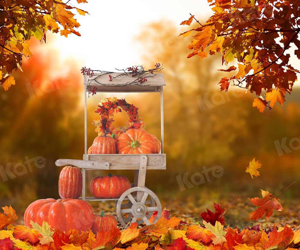 Kate Automne Halloween Toile de fond Harvest Pumpkin Car pour la photographie
