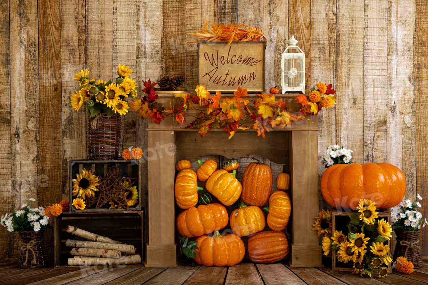 Kate Tournesols Maison en bois Citrouille Automne Toile de fond conçue par Emetselch - Kate Backdrop FR