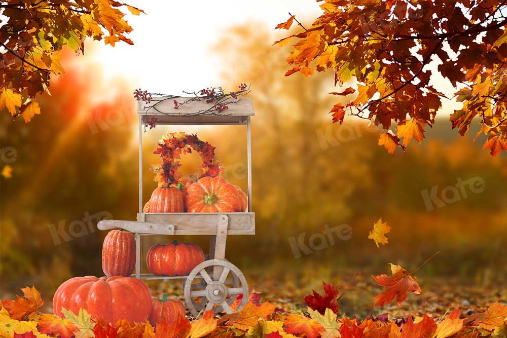Kate Automne Halloween Récolte Voiture de citrouille Toile de fond pour la photographie - Kate Backdrop FR