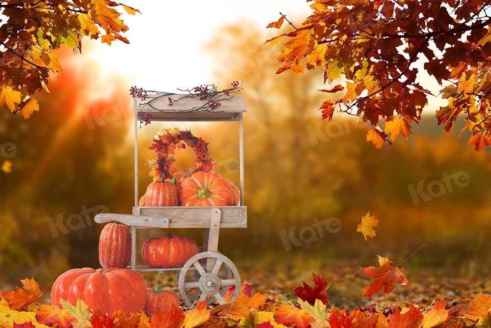 Kate Automne Halloween Toile de fond Harvest Pumpkin Car pour la photographie