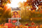 Kate Automne Halloween Récolte Voiture de citrouille Toile de fond pour la photographie - Kate Backdrop FR