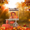 Kate Automne Halloween Récolte Voiture de citrouille Toile de fond pour la photographie - Kate Backdrop FR