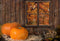 Kate Automne Halloween Ferme Citrouilles Bois Toile de fond pour la photographie - Kate Backdrop FR