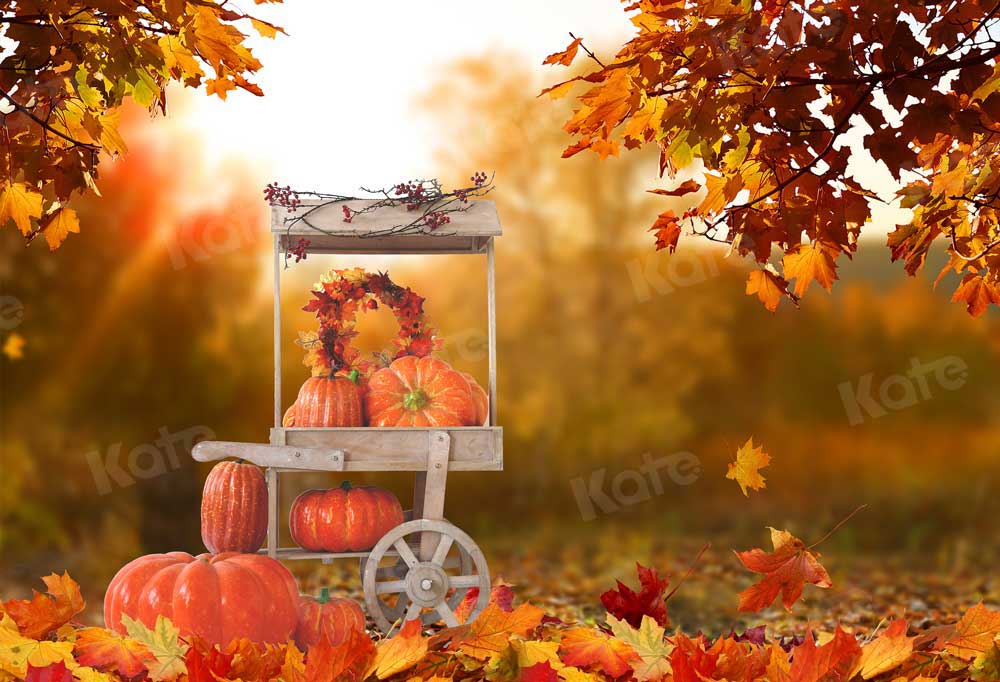 Kate Automne Halloween Toile de fond Harvest Pumpkin Car pour la photographie