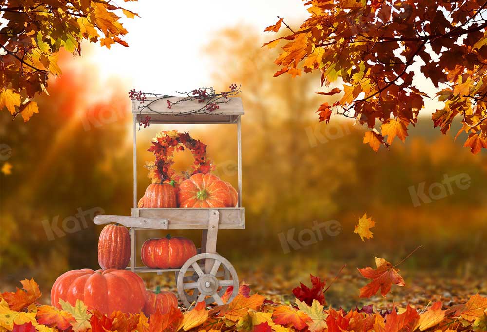 Kate Automne Halloween Récolte Voiture de citrouille Toile de fond pour la photographie - Kate Backdrop FR