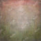 Kate Couleur Dégradé Abstrait Rouge et Vert Toile de fond conçu par Kate image - Kate Backdrop FR