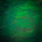 Kate Vert foncé Abstrait Beaux-arts Toile de fond conçu par Kate Image - Kate Backdrop FR