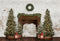 Kate Couronne Cheminée Hiver Noël Toile de fond pour la photographie - Kate Backdrop FR