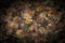 Kate toile de fond fine art fleurs colorées conçue par chaîne photographie - Kate Backdrop FR