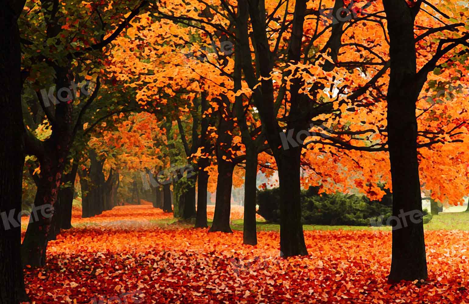 Kate Jaune Forêt Automne Arbres Toile de fond conçue par Chain Photography - Kate Backdrop FR