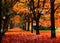 Kate Jaune Forêt Automne Arbres Toile de fond conçue par Chain Photography - Kate Backdrop FR