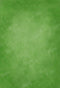Kate Beaux-arts Portrait Vert Abstrait Toile de fond conçu par Kate Image - Kate Backdrop FR