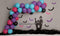 Kate Halloween Anniversaire Cake smash Ballons Bleu Toile de fond conçu par Melissa King - Kate Backdrop FR