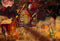 Kate Halloween Citrouille Nuit Automne Maison Toile de fond pour la photographie - Kate Backdrop FR