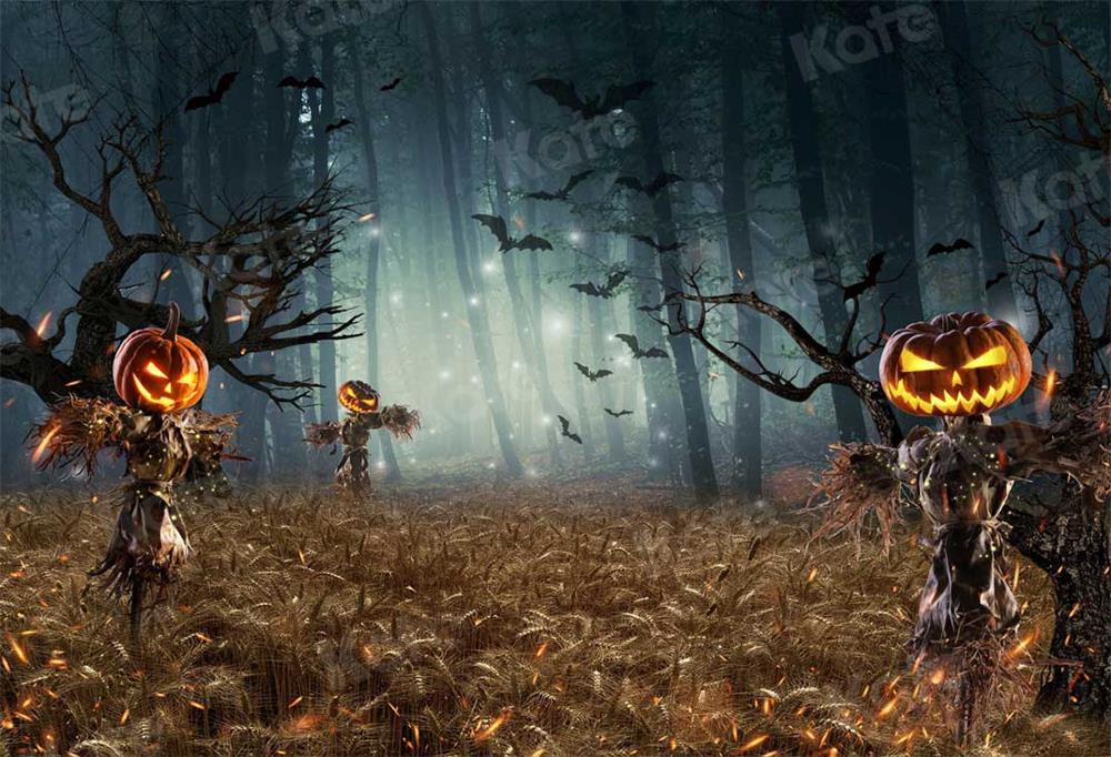 Kate Halloween Citrouille Forêt Épouvantail Toile de fond pour la photographie - Kate Backdrop FR