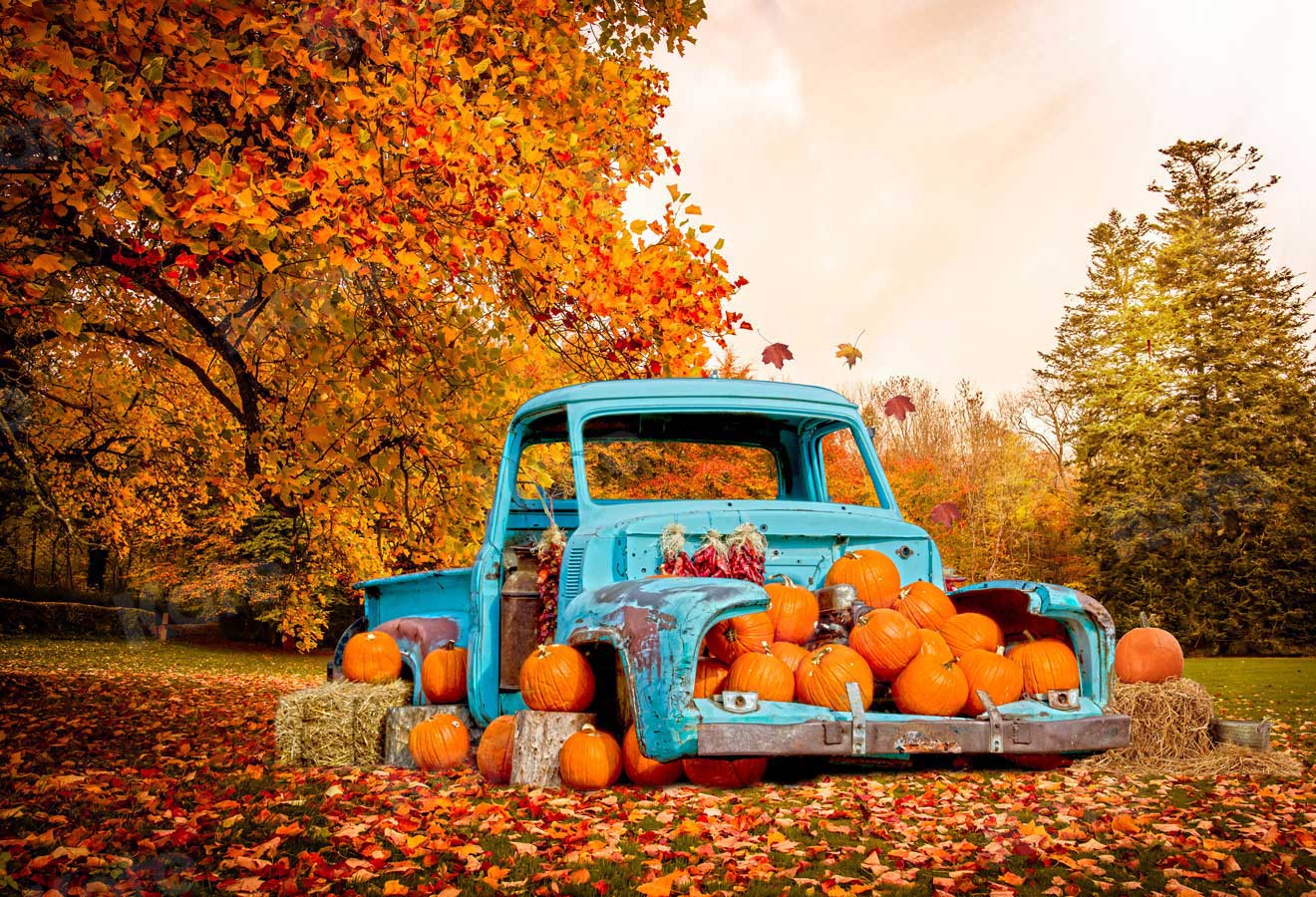 Kate Forêt de toile de fond de voiture de citrouille d'automne pour la photographie