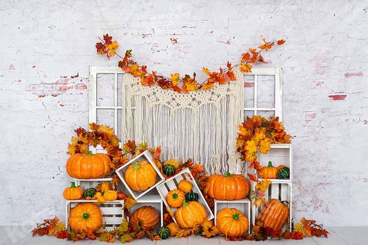 Kate Citrouille Automne Mur de brique Blanc Toile de fond conçue par Emetselch - Kate Backdrop FR