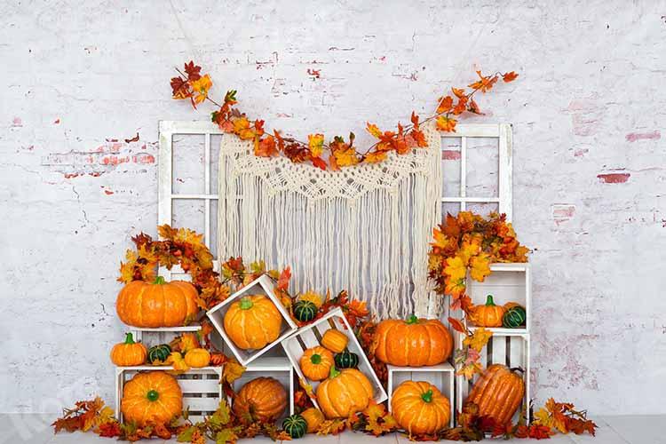 Kate Citrouille Automne Mur de brique Blanc Toile de fond conçue par Emetselch - Kate Backdrop FR