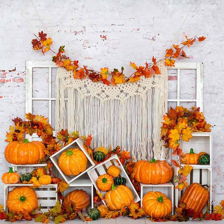 Kate Citrouille Automne Mur de brique Blanc Toile de fond conçue par Emetselch - Kate Backdrop FR