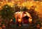 Kate Halloween Lumières Citrouille Automne Toile de fond pour la photographie - Kate Backdrop FR