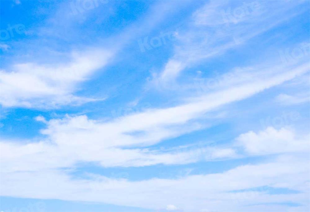 Kate Paysage Ciel Bleu Nuages Blanc Toile de fond pour la photographie - Kate Backdrop FR