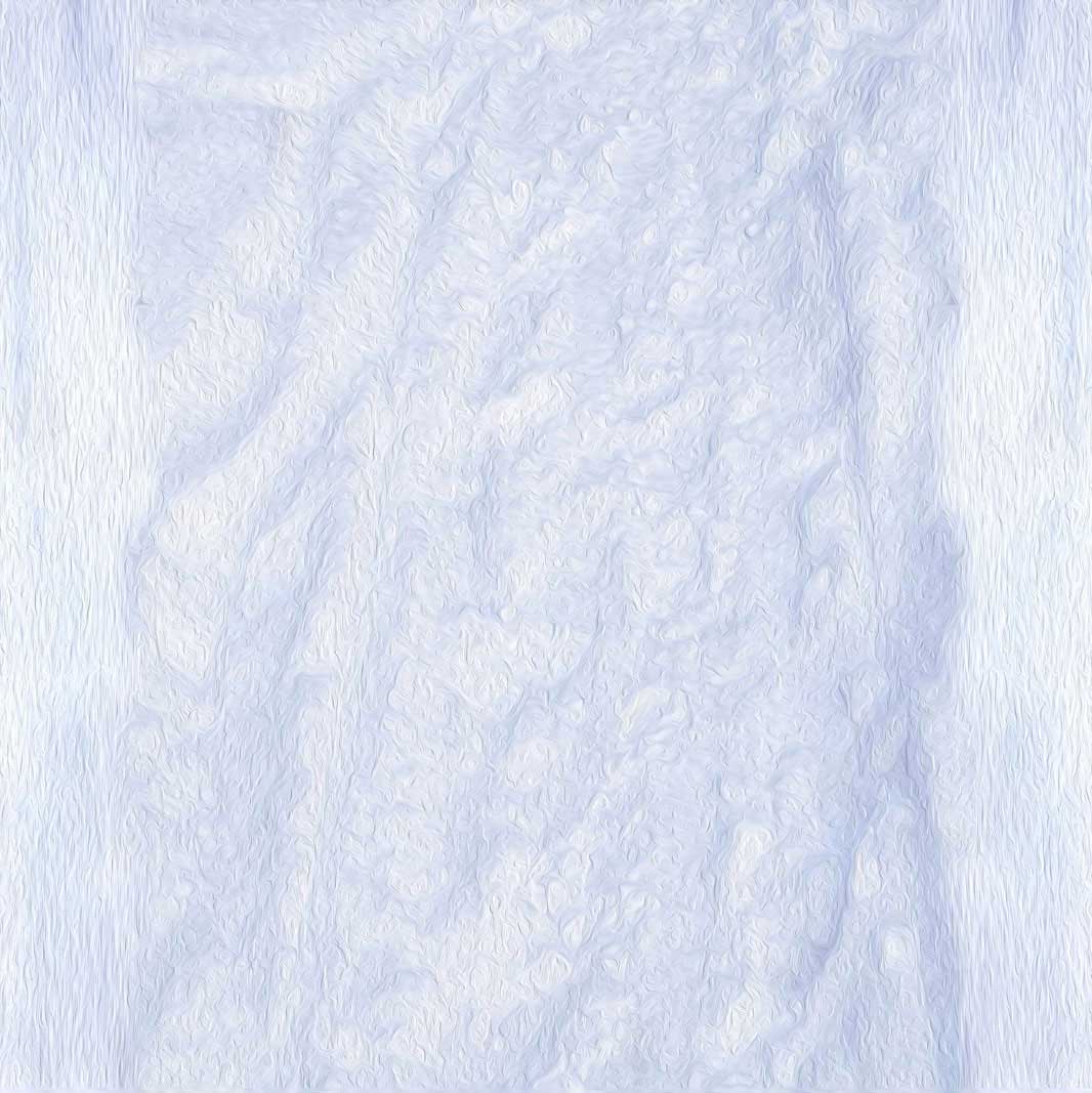 Kate toile de fond de neige d'hiver blanc pour la photographie - Kate Backdrop FR
