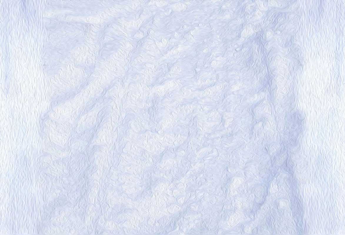 Kate toile de fond de neige d'hiver blanc pour la photographie - Kate Backdrop FR