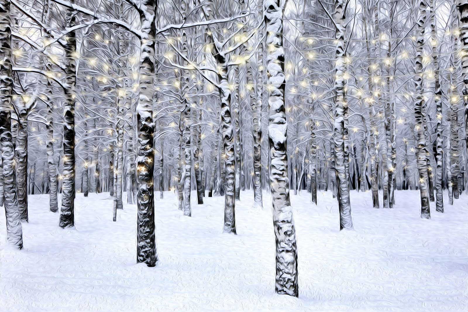 Kate Forêt Noël Hiver Blanc Toile de fond pour la photographie - Kate Backdrop FR