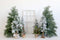 Kate Arbres Hiver Noël Blanc Toile de fond pour la photographie - Kate Backdrop FR