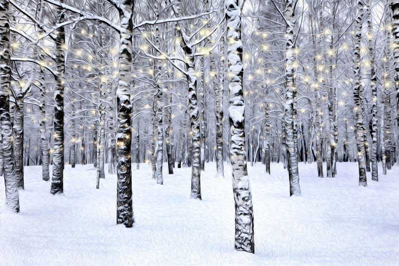 Kate Forêt Noël Hiver Blanc Toile de fond pour la photographie