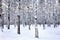 Kate Forêt Noël Hiver Blanc Toile de fond pour la photographie - Kate Backdrop FR