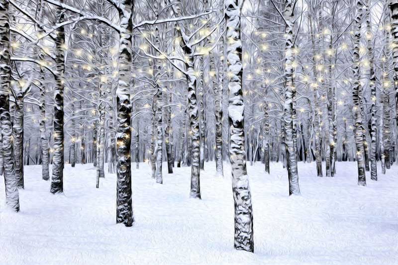 Kate Forêt Noël Hiver Blanc Toile de fond pour la photographie - Kate Backdrop FR