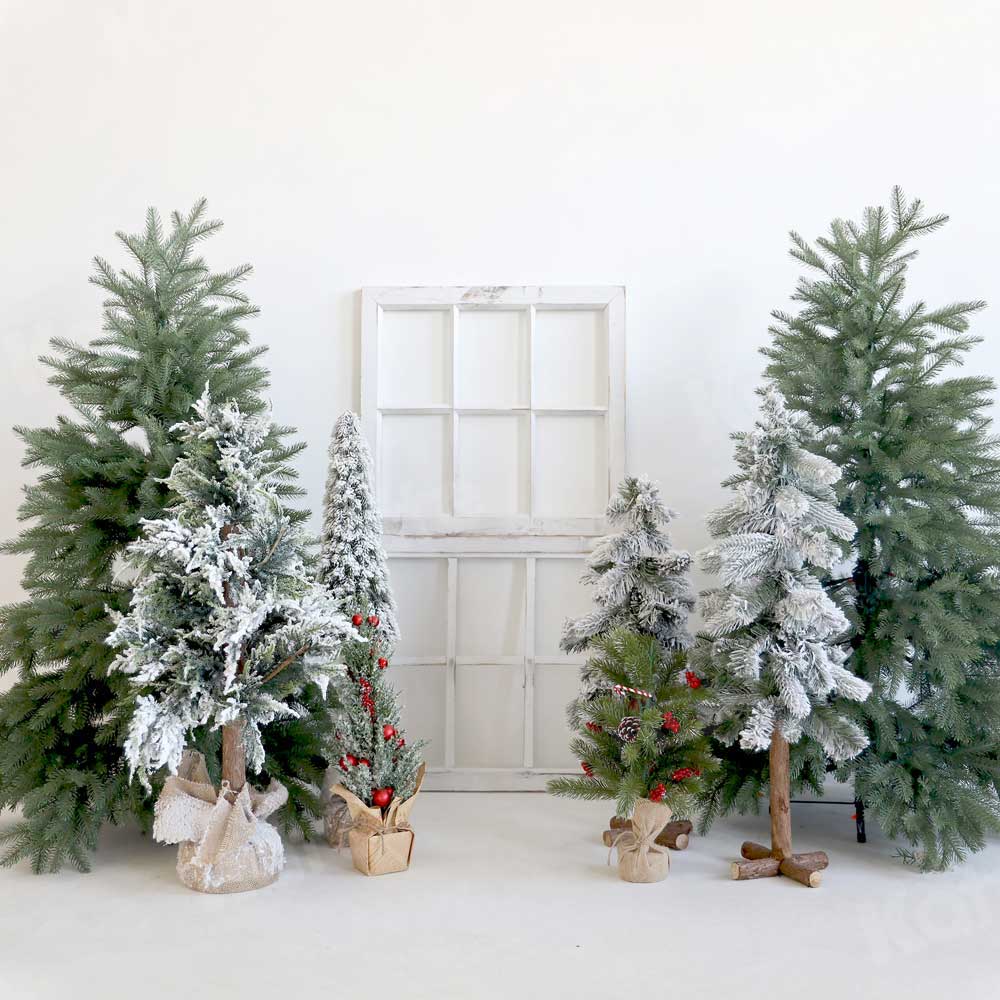 Kate Arbres Hiver Noël Blanc Toile de fond pour la photographie