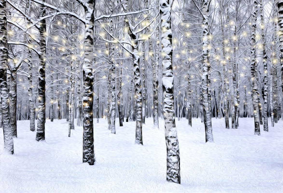 Kate Forêt Noël Hiver Blanc Toile de fond pour la photographie - Kate Backdrop FR