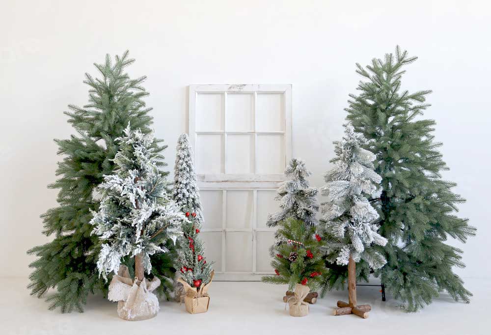 Kate Arbres Hiver Noël Blanc Toile de fond pour la photographie
