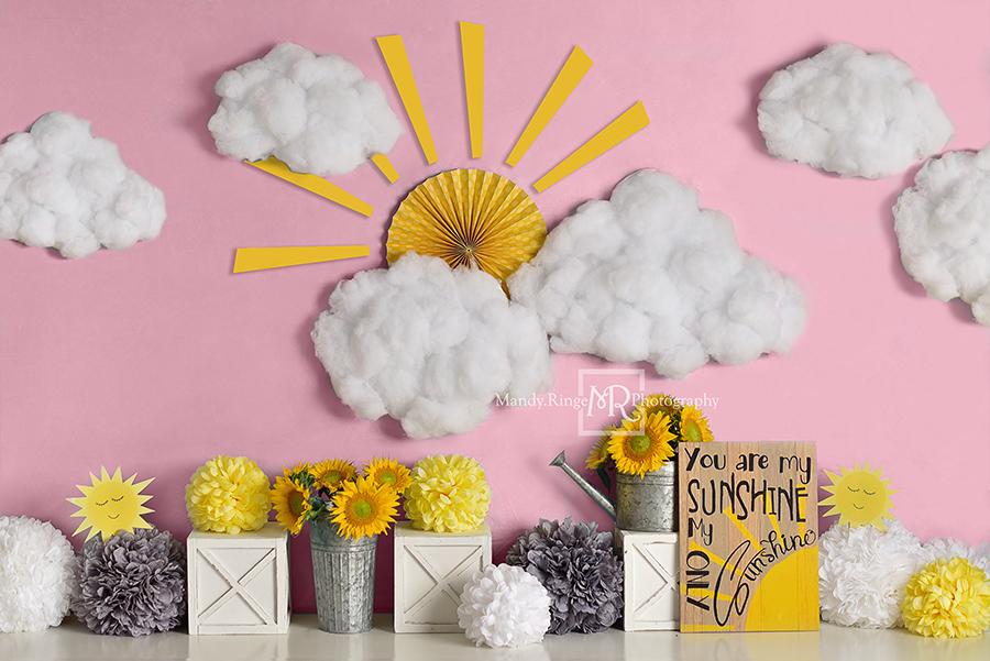Kate Soleil Nuage Rose Toile de fond conçue par Mandy Ringe Photographie